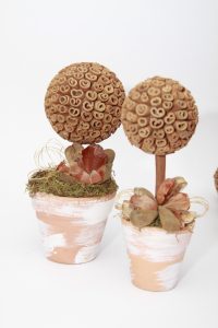 Loja Pense estará aberta neste sábado durante todo o dia em Osório 247 Loja Pense estará aberta neste sábado durante todo o dia em Osório 246