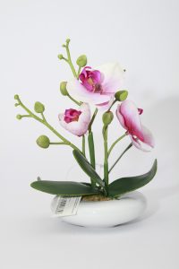 Loja Pense estará aberta neste sábado durante todo o dia em Osório 271 Loja Pense estará aberta neste sábado durante todo o dia em Osório 270