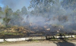Osório: bombeiros trabalham para combater fogo em mato próximo a residências 49 Osório: bombeiros trabalham para combater fogo em mato próximo a residências 48