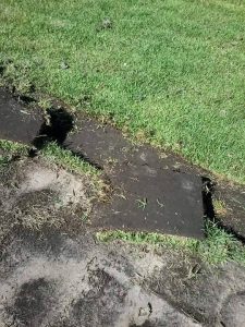 Grama em leiva do Alemão lança promoção com frete e adubação grátis 164