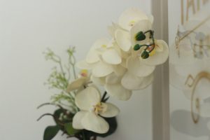 Centro de Estética Tatiane Palacio reinaugura com muito charme e sofisticação - veja imagens 1478