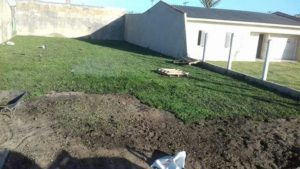 Como ter um pátio com grama verdinha e bem cuidada? Grama em Leiva do Alemão 420