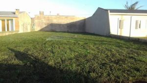 Como ter um pátio com grama verdinha e bem cuidada? Grama em Leiva do Alemão 422