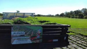 Como ter um pátio com grama verdinha e bem cuidada? Grama em Leiva do Alemão 428