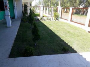 Como ter um pátio com grama verdinha e bem cuidada? Grama em Leiva do Alemão 388