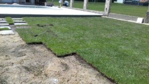 Como ter um pátio com grama verdinha e bem cuidada? Grama em Leiva do Alemão 392