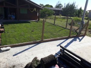 Como ter um pátio com grama verdinha e bem cuidada? Grama em Leiva do Alemão 396