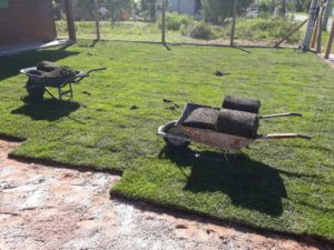 Como ter um pátio com grama verdinha e bem cuidada? Grama em Leiva do Alemão 398