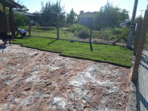 Como ter um pátio com grama verdinha e bem cuidada? Grama em Leiva do Alemão 402