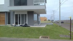 Como ter um pátio com grama verdinha e bem cuidada? Grama em Leiva do Alemão 404