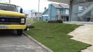 Como ter um pátio com grama verdinha e bem cuidada? Grama em Leiva do Alemão 406