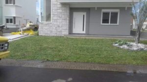 Como ter um pátio com grama verdinha e bem cuidada? Grama em Leiva do Alemão 442