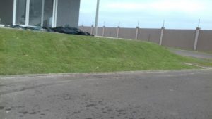 Como ter um pátio com grama verdinha e bem cuidada? Grama em Leiva do Alemão 408