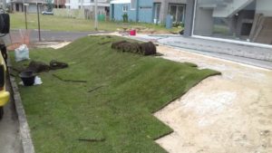 Como ter um pátio com grama verdinha e bem cuidada? Grama em Leiva do Alemão 410