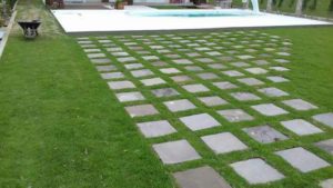 Como ter um pátio com grama verdinha e bem cuidada? Grama em Leiva do Alemão 386