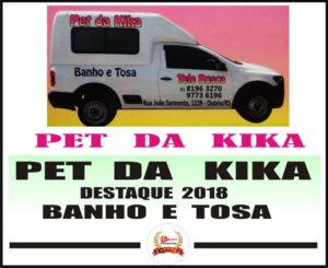 Mega Pesquisas e Publicidades divulga os destaques empresariais do ano em Osório 178