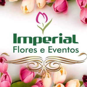 Líder Pesquisas divulga destaques de 2019 em Osório 228