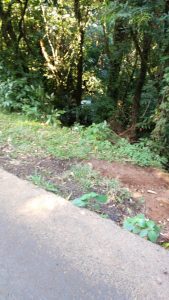 Motorista perde controle do carro e cai em barranco no Morro da Borússia 32