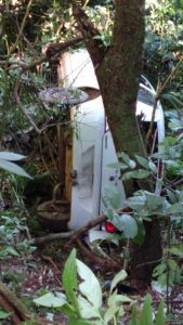 Motorista perde controle do carro e cai em barranco no Morro da Borússia 34