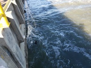 Bombeiros realizam operação na plataforma e ponte Giuseppe Garibaldi 54