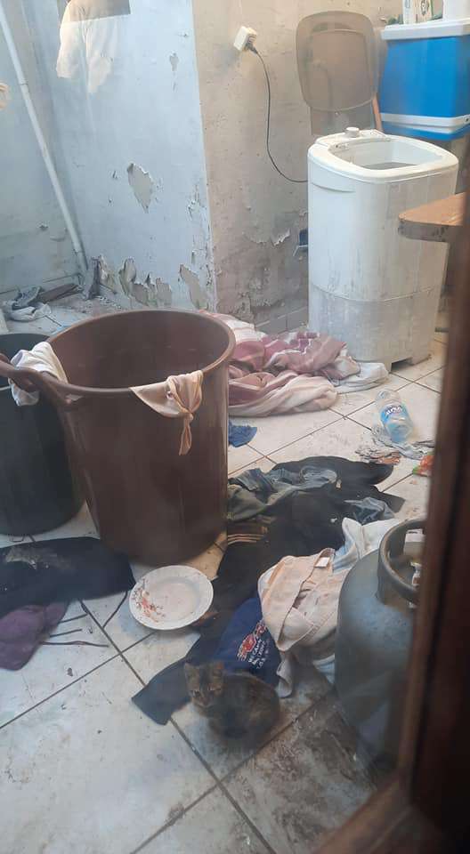 Idoso desaparecido é encontrado em local precário de higiene e clandestino 155 Idoso desaparecido é encontrado em local precário de higiene e clandestino 154