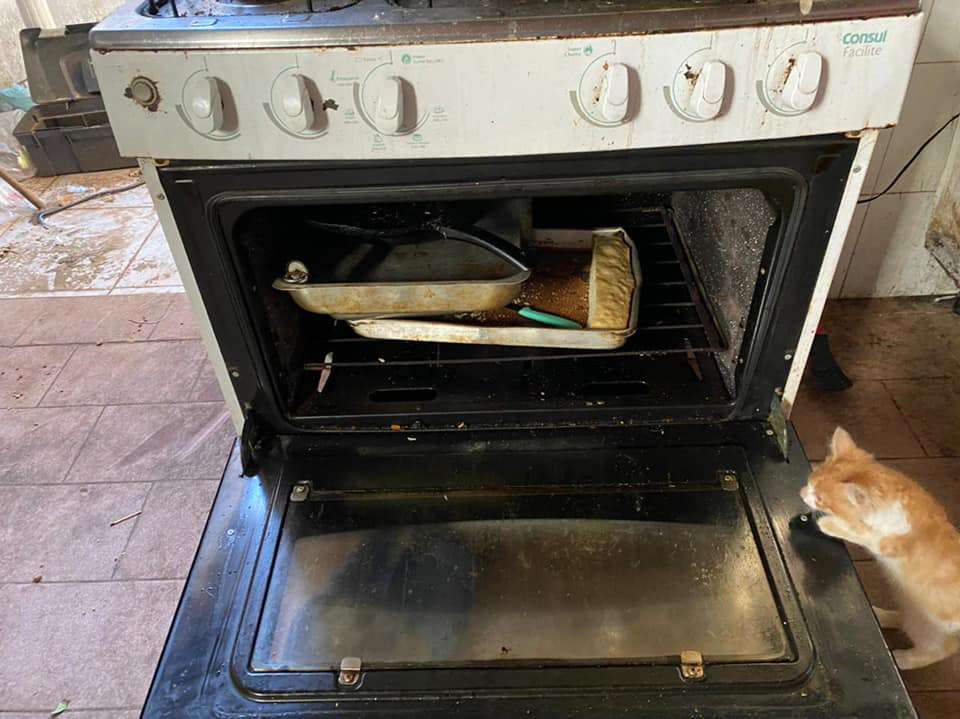 Idoso desaparecido é encontrado em local precário de higiene e clandestino 161 Idoso desaparecido é encontrado em local precário de higiene e clandestino 160