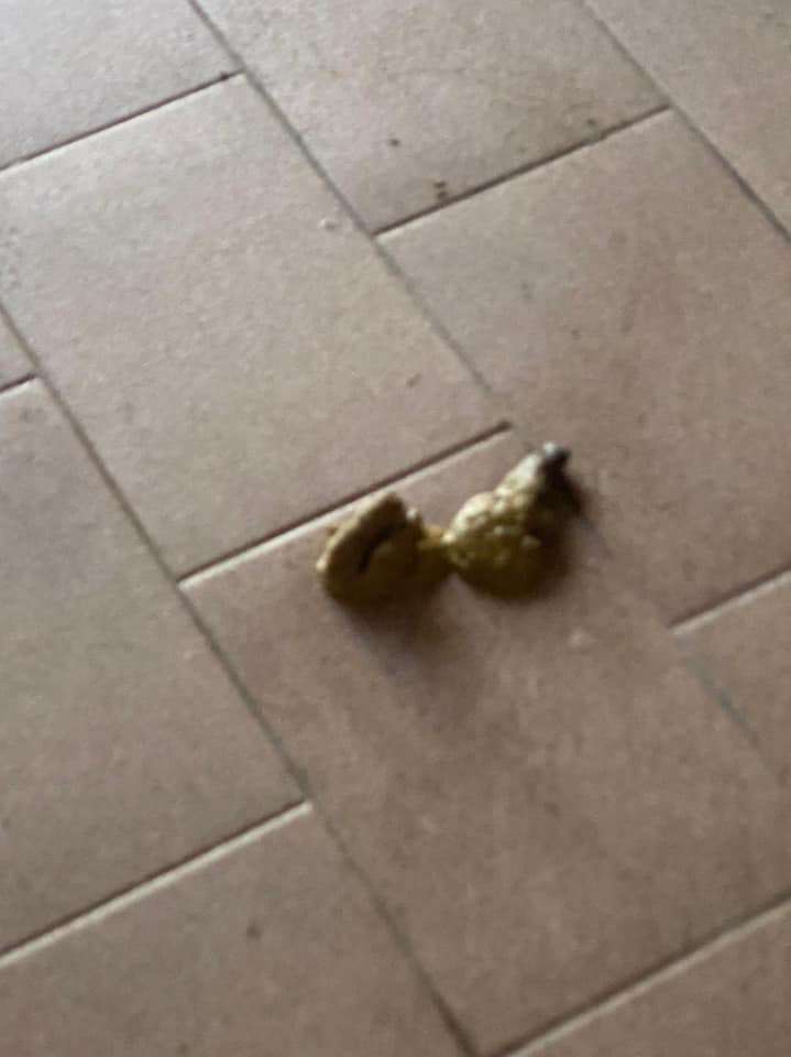 Idoso desaparecido é encontrado em local precário de higiene e clandestino 163 Idoso desaparecido é encontrado em local precário de higiene e clandestino 162