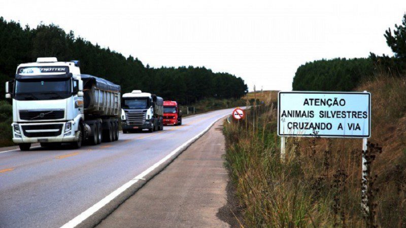 Recuperação da Rota do Sol, Colisão entre motocicletas deixa ferido na Rota do Sol