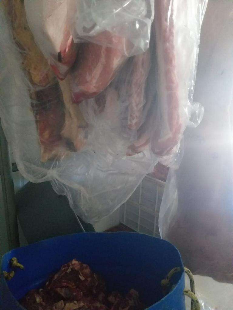 Três estabelecimentos são interditados e 3,4 toneladas de alimentos apreendidos em Tramandaí 47 Três estabelecimentos são interditados e 3,4 toneladas de alimentos apreendidos em Tramandaí 46