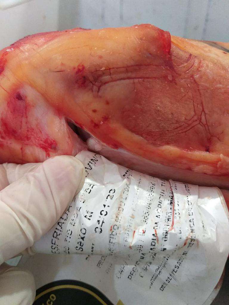 Três estabelecimentos são interditados e 3,4 toneladas de alimentos apreendidos em Tramandaí 45 Três estabelecimentos são interditados e 3,4 toneladas de alimentos apreendidos em Tramandaí 44