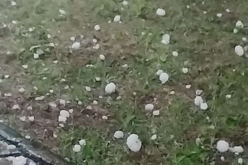 a group of white rocks on grass