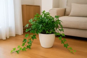 Hera os cuidados essenciais para um crescimento saudável