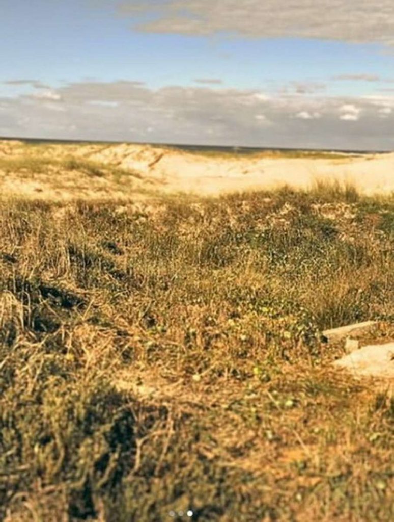 Loteamento irregular em área de APP é flagrado em Tramandaí