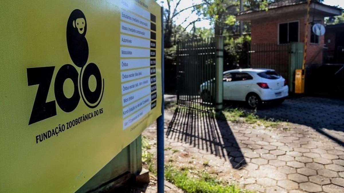 Zoológico de Sapucaia fecha após mortes de 38 patos e cisnes