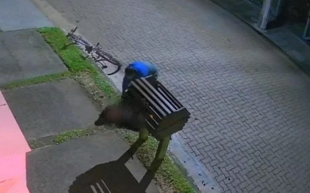 Latrocínio em Torres