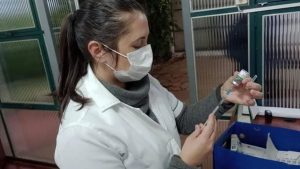 Vacinação contra o sarampo em Osório