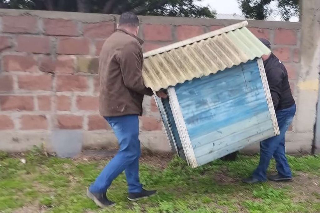 Maus-tratos e abandono de animais são alvos de ação em Imbé