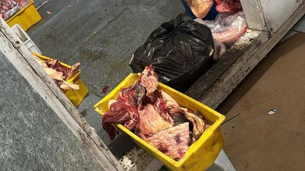 Carne sem procedência a medicamentos proibidos