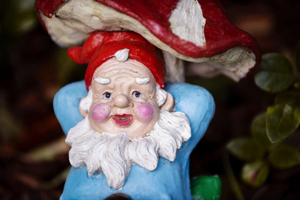 histórias bizarras de objetos comuns