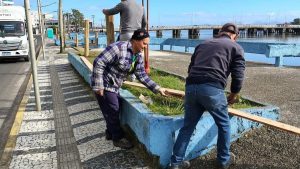 Cinco estruturas de pesca