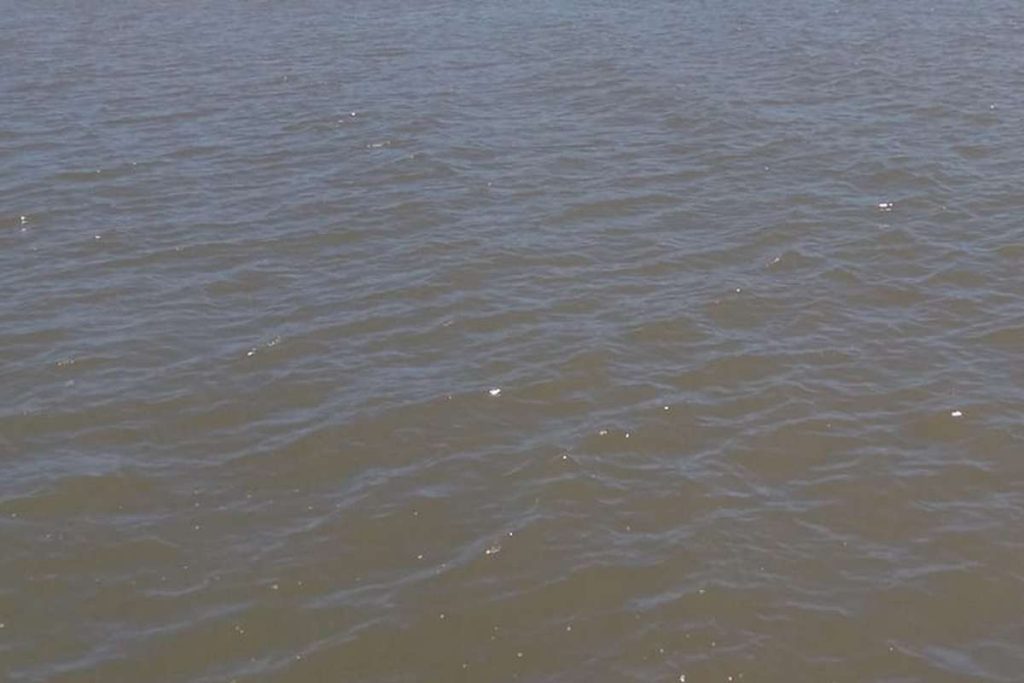 Jovem, Proprietária, Pagamento, Proibição, Licenças de pescadores suspensas