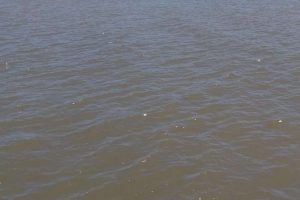 Jovem, Proprietária, Pagamento, Proibição, Licenças de pescadores suspensas