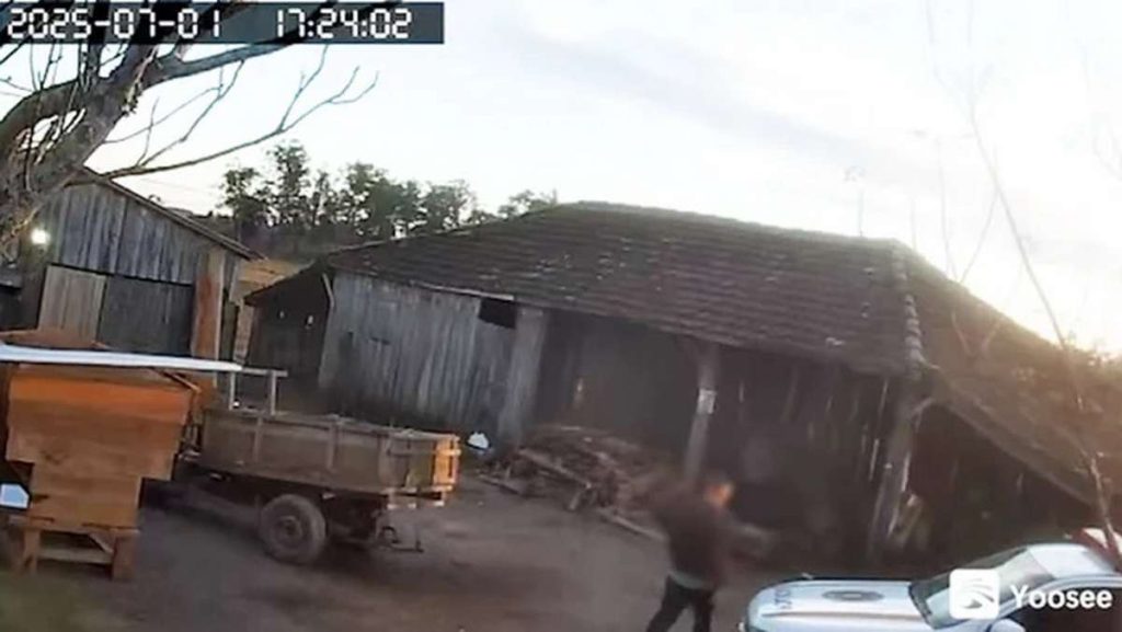 Morte de lenhador no RS, "Denúncia de desmatamento