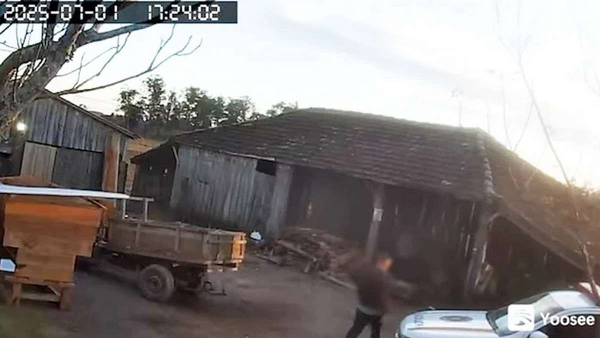 Morte de lenhador no RS, "Denúncia de desmatamento