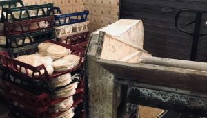 Panificadora clandestina que atuava no RS distribuía produtos para SC e PR