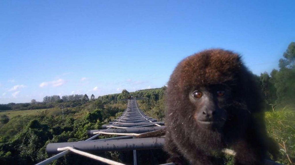 Ministério Público, ERS-040