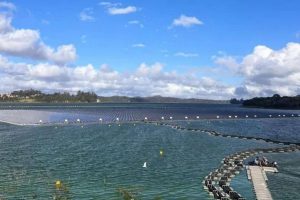 Energia solar: cidade do Litoral negocia instalação de usinas flutuantes