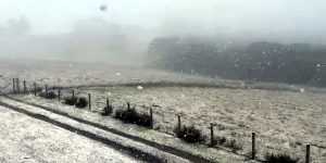 Neve na Serra do RS volta a encantar turistas e moradores com flocos persistentes e paisagem branca