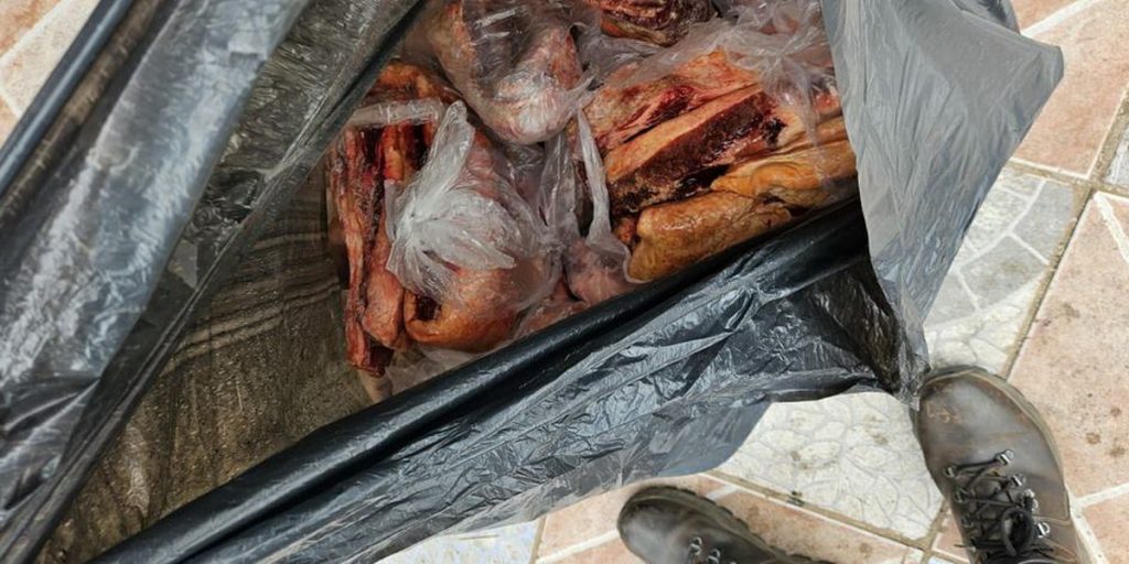 Programa Segurança dos Alimntos