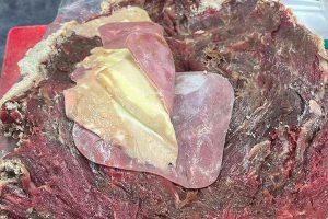 Restaurante do RS é interditado após flagrante de fezes em panelas e mosca em saladas